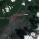 Image for article titled Eruption Burns Forest on Hawaii